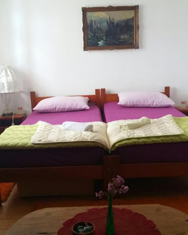 B&B Jonovic Donji Milanovac Buitenkant foto