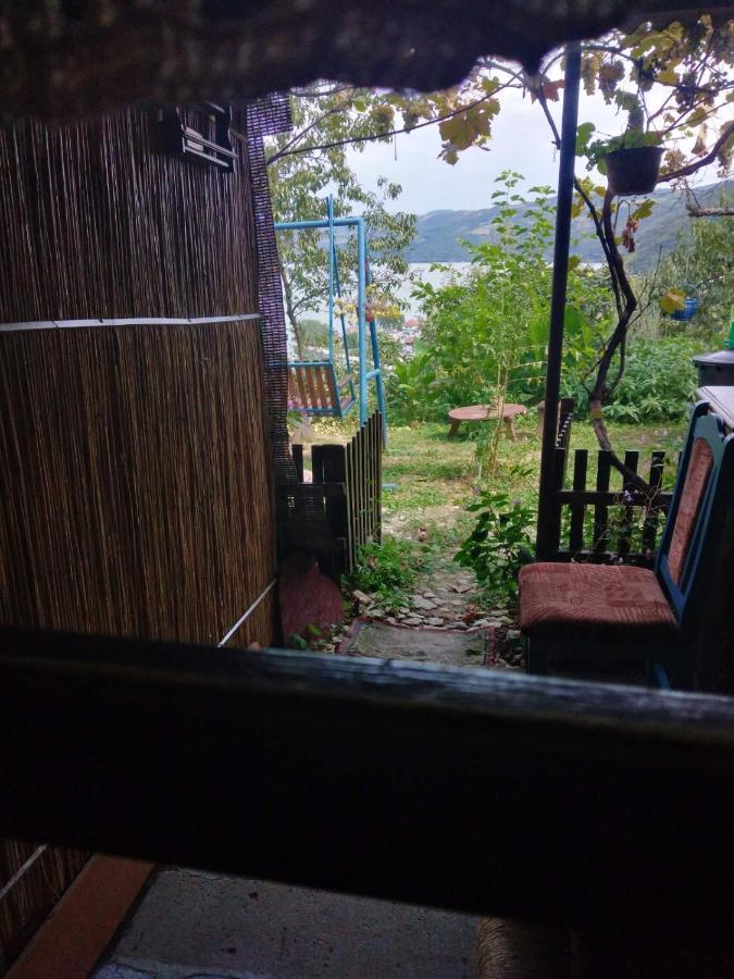 B&B Jonovic Donji Milanovac Buitenkant foto