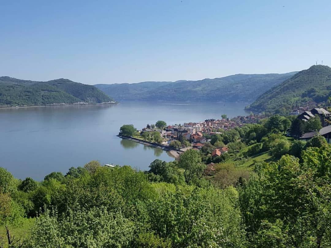 B&B Jonovic Donji Milanovac Buitenkant foto