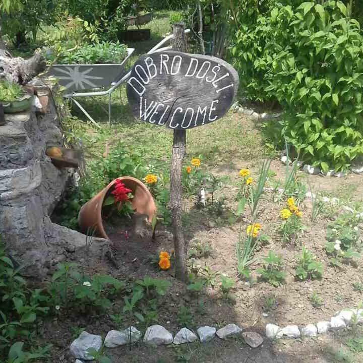 B&B Jonovic Donji Milanovac Buitenkant foto