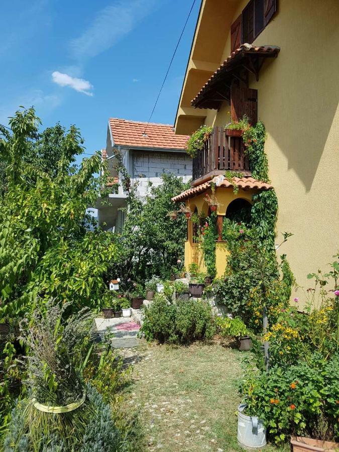 B&B Jonovic Donji Milanovac Buitenkant foto