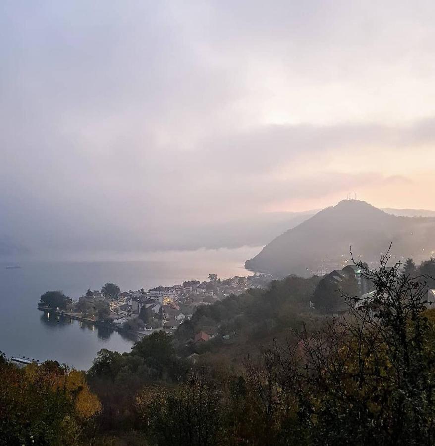 B&B Jonovic Donji Milanovac Buitenkant foto